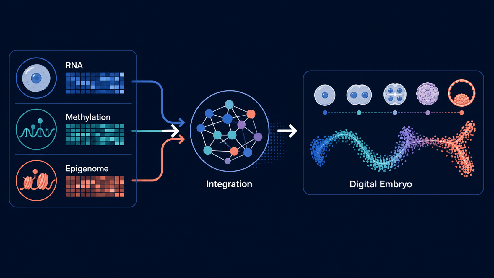 RNA methylation and epigenome integration workflow for the Digital Embryo